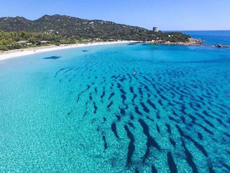 B&B I Fenicotteri Muravera Εξωτερικό φωτογραφία